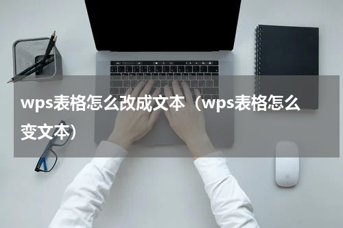 wps表格怎么改成文本（wps表格怎么变文本）