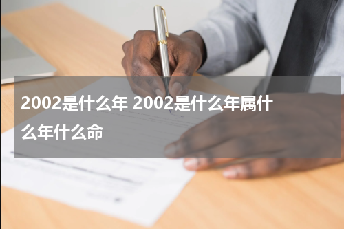2002是什么年 2002是什么年属什么年什么命