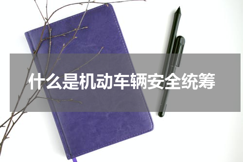 什么是机动车辆安全统筹