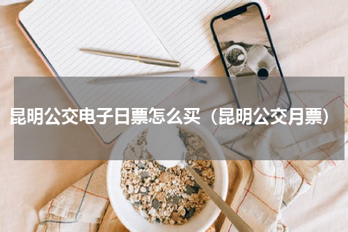 昆明公交电子日票怎么买（昆明公交月票）
