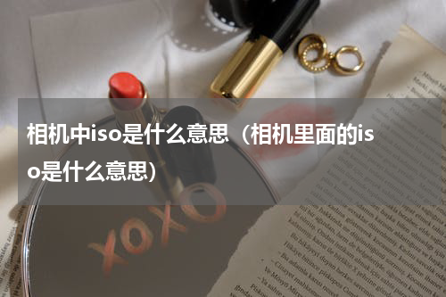 相机中iso是什么意思（相机里面的iso是什么意思）