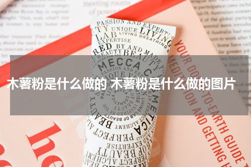 木薯粉是什么做的 木薯粉是什么做的图片