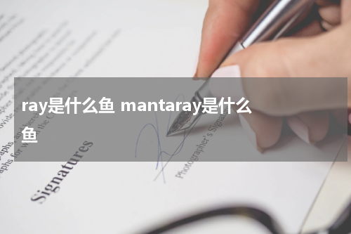 ray是什么鱼 mantaray是什么鱼
