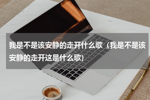 我是不是该安静的走开什么歌（我是不是该安静的走开这是什么歌）