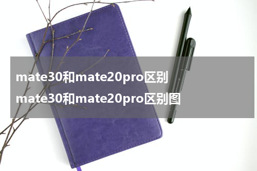 mate30和mate20pro区别 mate30和mate20pro区别图