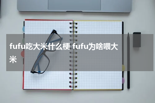 fufu吃大米什么梗 fufu为啥喂大米