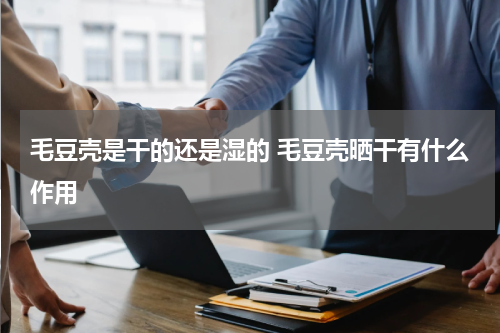 毛豆壳是干的还是湿的 毛豆壳晒干有什么作用