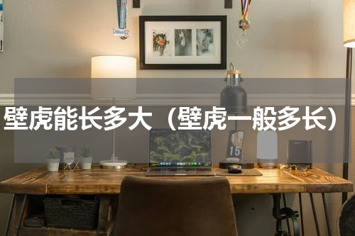 壁虎能长多大（壁虎一般多长）
