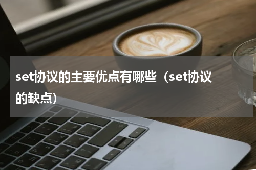 set协议的主要优点有哪些（set协议的缺点）