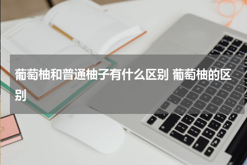 葡萄柚和普通柚子有什么区别 葡萄柚的区别