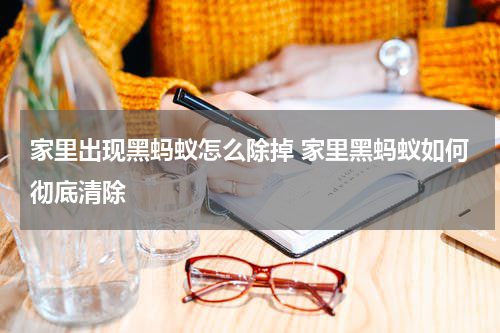 家里出现黑蚂蚁怎么除掉 家里黑蚂蚁如何彻底清除