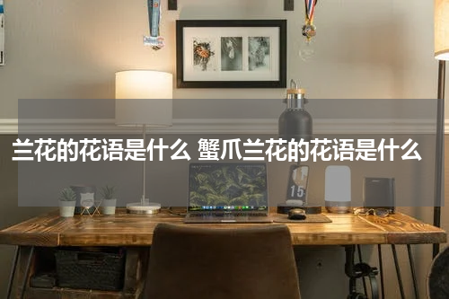 兰花的花语是什么 蟹爪兰花的花语是什么