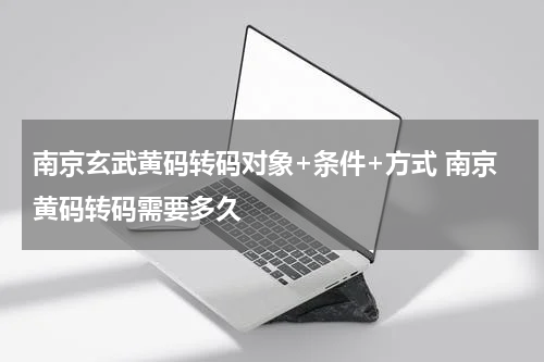 南京玄武黄码转码对象+条件+方式 南京黄码转码需要多久