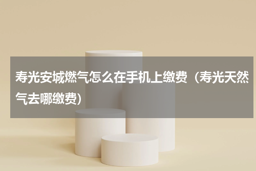 寿光安城燃气怎么在手机上缴费（寿光天然气去哪缴费）