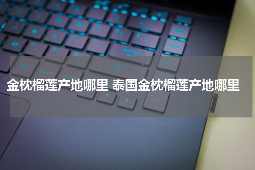 金枕榴莲产地哪里 泰国金枕榴莲产地哪里