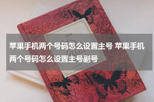 苹果手机两个号码怎么设置主号 苹果手机两个号码怎么设置主号副号
