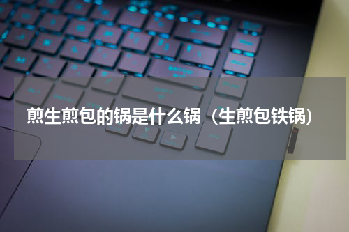 煎生煎包的锅是什么锅（生煎包铁锅）