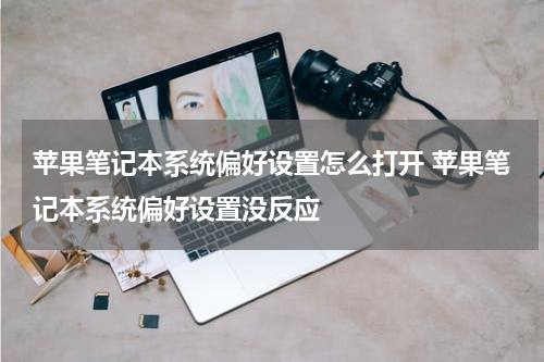 苹果笔记本系统偏好设置怎么打开 苹果笔记本系统偏好设置没反应