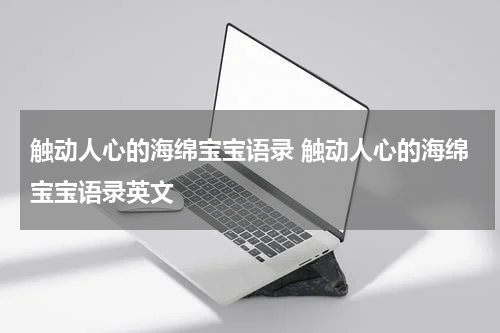 触动人心的海绵宝宝语录 触动人心的海绵宝宝语录英文