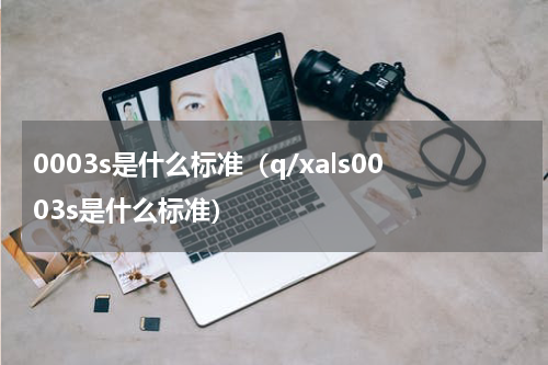 0003s是什么标准（q/xals0003s是什么标准）