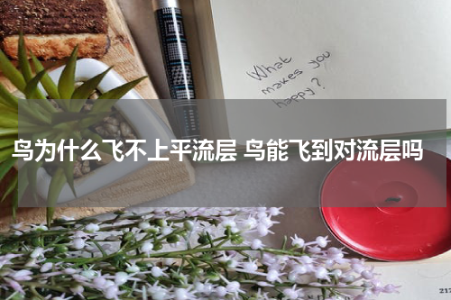 鸟为什么飞不上平流层 鸟能飞到对流层吗