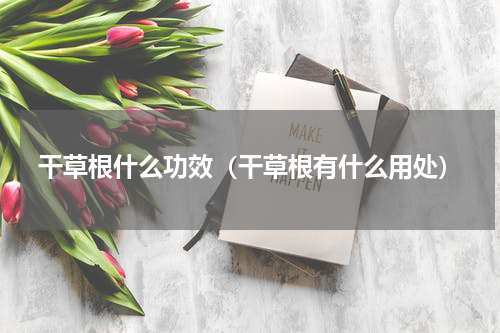 干草根什么功效（干草根有什么用处）