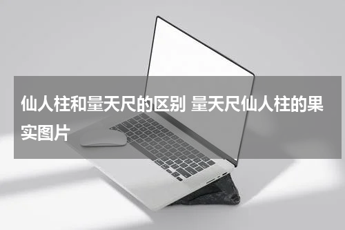 仙人柱和量天尺的区别 量天尺仙人柱的果实图片