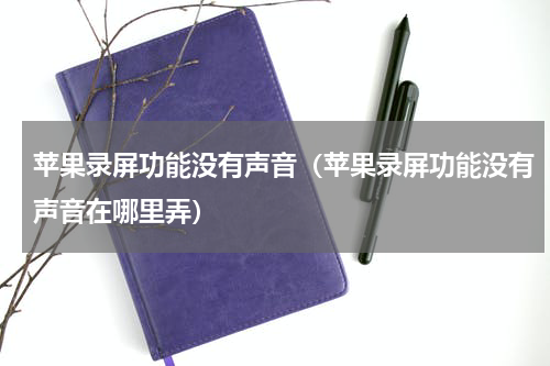 苹果录屏功能没有声音（苹果录屏功能没有声音在哪里弄）