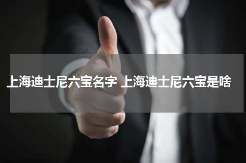 上海迪士尼六宝名字 上海迪士尼六宝是啥