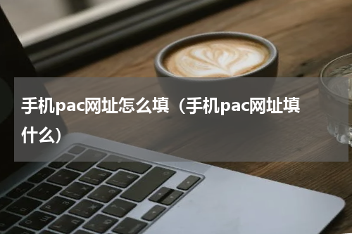 手机pac网址怎么填（手机pac网址填什么）