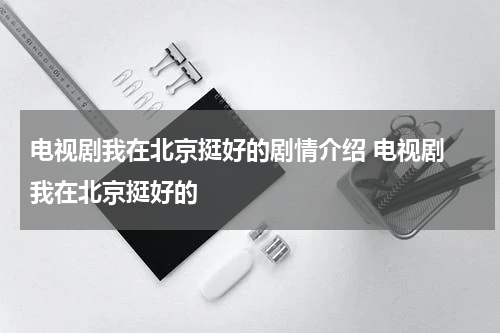 电视剧我在北京挺好的剧情介绍 电视剧 我在北京挺好的
