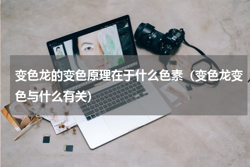 变色龙的变色原理在于什么色素（变色龙变色与什么有关）