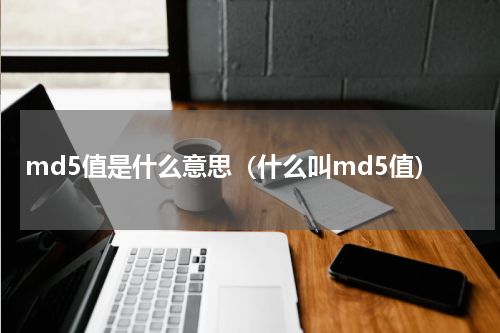 md5值是什么意思（什么叫md5值）
