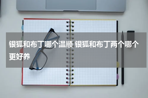 银狐和布丁哪个温顺 银狐和布丁两个哪个更好养