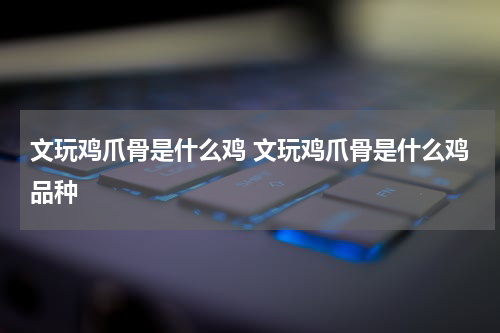 文玩鸡爪骨是什么鸡 文玩鸡爪骨是什么鸡品种