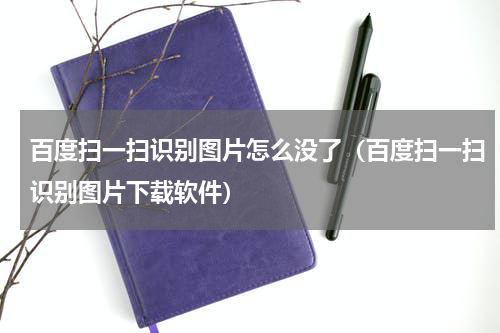 百度扫一扫识别图片怎么没了（百度扫一扫识别图片下载软件）