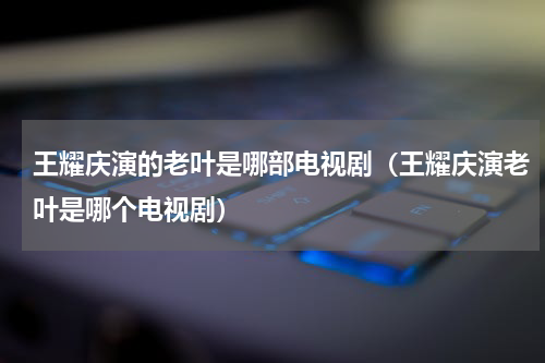 王耀庆演的老叶是哪部电视剧（王耀庆演老叶是哪个电视剧）