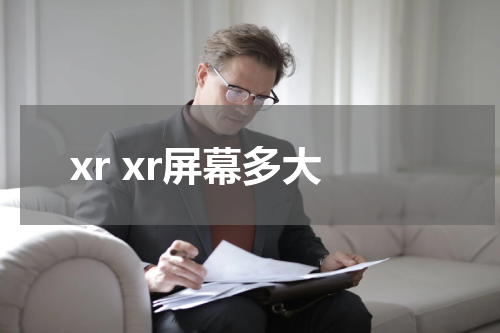 xr xr屏幕多大