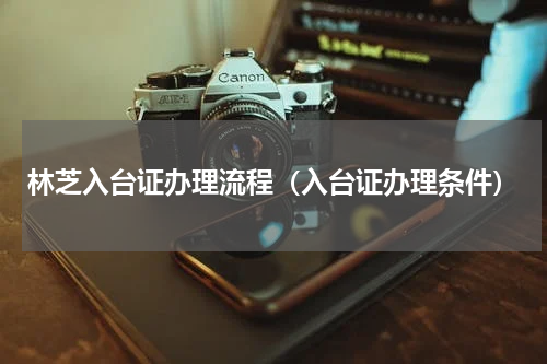 林芝入台证办理流程（入台证办理条件）