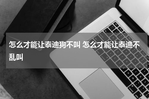 怎么才能让泰迪狗不叫 怎么才能让泰迪不乱叫