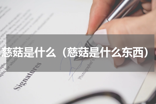 慈菇是什么（慈菇是什么东西）