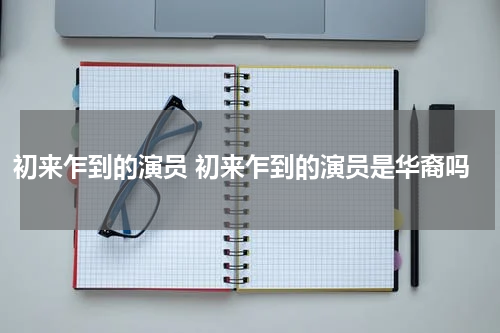 初来乍到的演员 初来乍到的演员是华裔吗