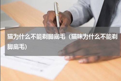 猫为什么不能剃脚底毛（猫咪为什么不能剃脚底毛）