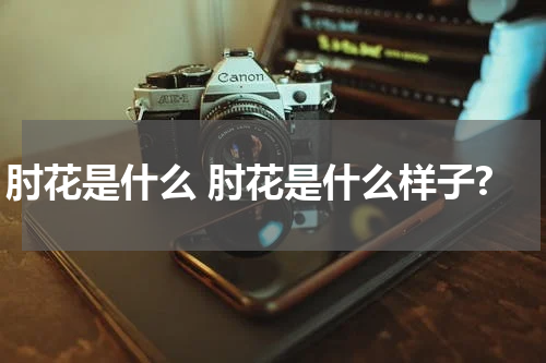 肘花是什么 肘花是什么样子?