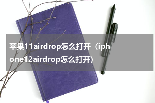苹果11airdrop怎么打开（iphone12airdrop怎么打开）