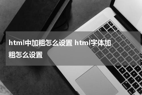 html中加粗怎么设置 html字体加粗怎么设置
