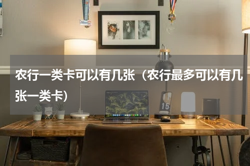 农行一类卡可以有几张（农行最多可以有几张一类卡）