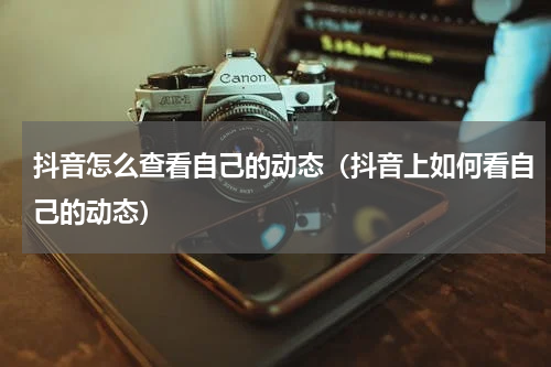 抖音怎么查看自己的动态（抖音上如何看自己的动态）