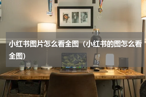 小红书图片怎么看全图（小红书的图怎么看全图）