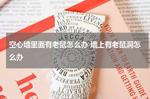 空心墙里面有老鼠怎么办 墙上有老鼠洞怎么办